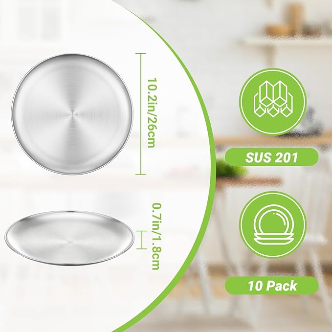 Metal Dinner Plate, 10 Pack 10.2 inch Large 201 Stainless Steel Plates, Reusable Lunch Salad Pizza Food Serving Snack Eating Dishes Round Brushed Finish Silver Sturdy Dish Oven Dishwasher Safe