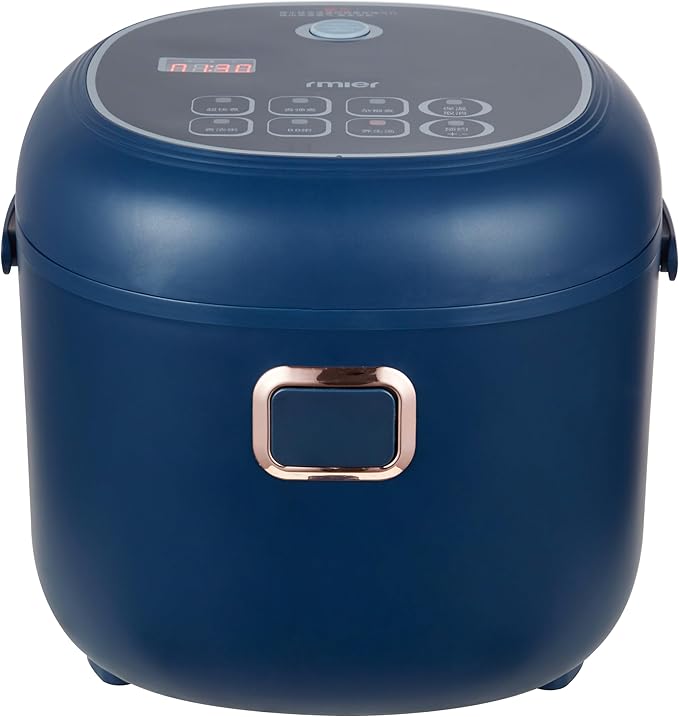 12V/24V 2L Mini Rice Cooker,Electric Lunch Box Food Heater,Portable Travel For Car/Truck, Small Rice Cooker with Steam Tray, Cooking Heating and Keeping Warm Function(Black)