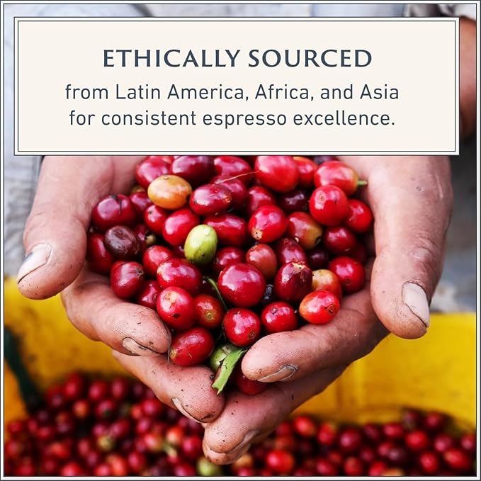 Filicori Zecchini Italian Espresso Beans ??Whole Bean Coffee Medium Roast Arabica & Robusta Blend ??Low Acidity, Slow Roasted ??Delicato 2.2lb Bag