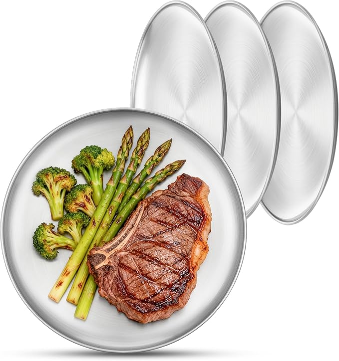 Metal Camping Plates, 4 Pack 9.1 inch Small 201 Stainless Steel Plates, Reusable Pizza Food Serving Snack Eating Salad Dishes Round Shatterproof Brushed Finish Silver Dish Oven Dishwasher Safe