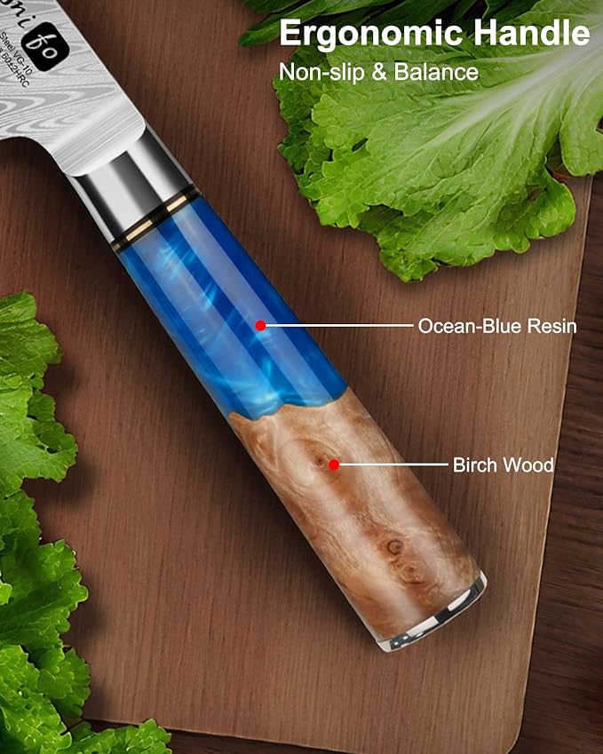Damascus Chef Knife 8 Inch, Japanese Handcrafted Sharp Kitchen Knife with 67-Layer Damascus Steel & VG10 Core, Blue Resin & Natural Birch Wood Handle, Unique Ideal Christmas Gift for Family & Friends