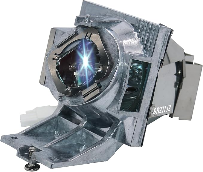 RLC-117 Original Replacement Projector Lamp Bulb for Viewsonic PG705HD PG705WU PX727-4K PX747-4K with Housing