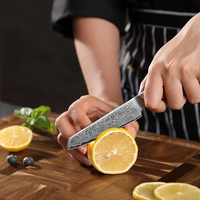 Wakoli EDIB Pro Damascus Mukimono Knife ??Japanese Style Paring and Garnishing Knife | 4-Inch Genuine Damascus Steel Blade with VG10 Core | Ergonomic Pakkawood Handle