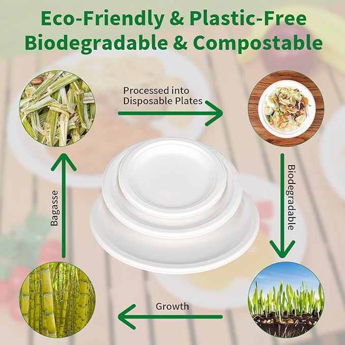 Aricsen 50 Pack 9 Inch Compostable Disposable Round Paper Plates, Natural White Biodegradable Sugarcane Bagasse PFAS-Free Eco-Friendly Dinner Plates for Party Wedding Picnic BBQ (50, 9 INCH)