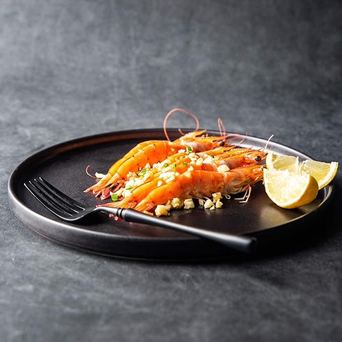 AmorArc Ceramic Dinner Salad Plates Set of 4, 8.5 Inch Reactive Matte Glaze Dish Set, Dessert, Salad, Appetizer, Small Dinner Plate, Microwave, Dishwasher Safe,Scratch Resistant,Reactive Matte Black