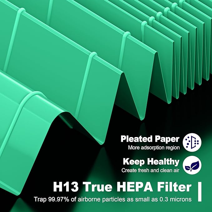 116130 Toxin Absorber Replacement Filter H for Winix 5500-2 AM80 Plasmawave Air Purifier, True HEPA Filter and Activated Carbon Filter Combo Pack, 2 Set, Green