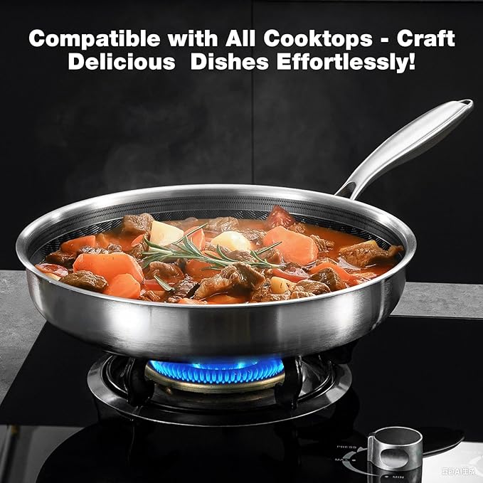 DELARLO 10 inch Tri-Ply Stainless Steel Frying Pan With Lid, Nonstick Omelette Pans, Small Egg Pan Durable Chef's Pan,Induction Kitchen Skillets, Compatible with All Cooktops, Up to 600℉