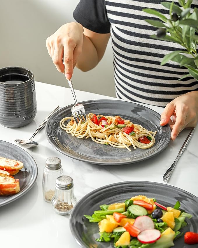HASENSE Dinner Plates, 10 Inch Ceramic Serving Plates for Kitchen, Modern Round Dishes Set of 4, Scratch Resistant Salad Plates, Dishwasher and Microwave Safe, Grey