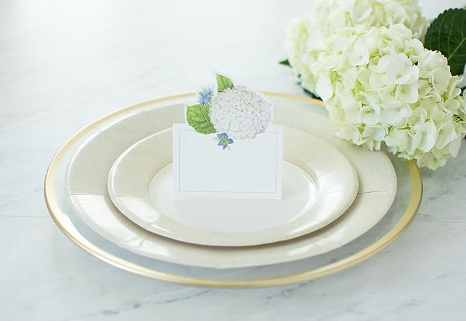 Caspari Linen Border Paper Dinner Plates in Natural - Pack of 8