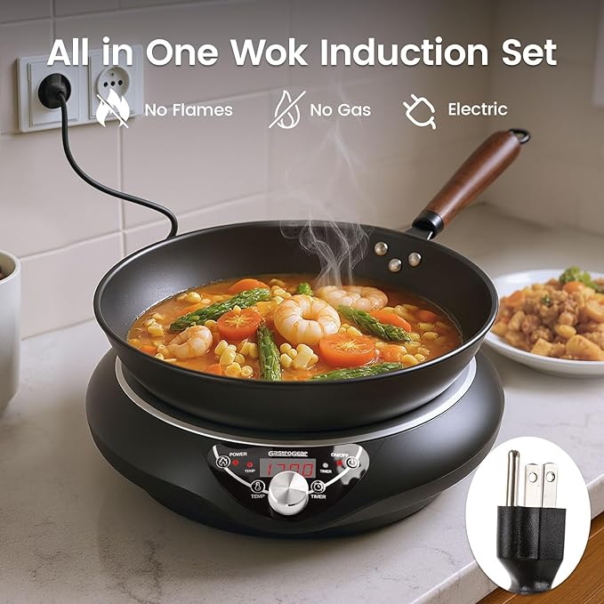 Induction Wok Cooktop Set, 2025 New & Improved Electric Skillet Induction Burner w/Carbon Steel Wok, Glass Vented Lid, Rack, 176째F to 464째F, 18 Hrs Timer, Auto-off (Black 110V~120V)