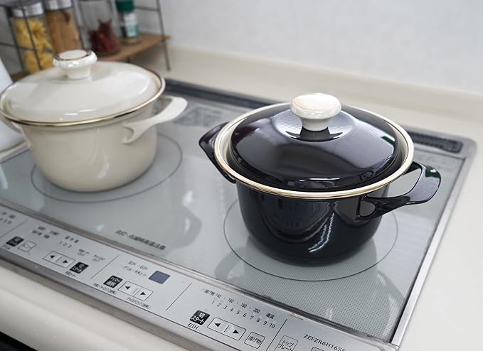 FUJIHORO JAPAN EX Series Cocotte EX-16C (Black), Enamel Kitchenware, PFAS-free, Japanese Design & Craftmanship