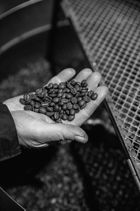 Bristot Moka Oro Ground Coffee ??Italian Espresso ??Medium Roast ??Notes of Spices, Caramel & Sandalwood ??For Moka, French Press, Pour Over ??8.8oz (250g)