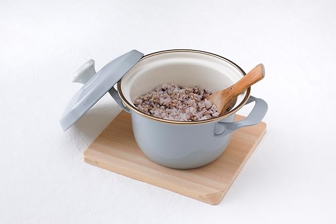 FUJIHORO JAPAN EX Series Cocotte EX-16C (Smoke Green), Enamel Kitchenware, PFAS-free, Japanese Design & Craftmanship