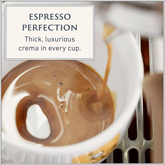 Filicori Zecchini Italian Espresso Beans ??Whole Bean Coffee Medium Roast Arabica & Robusta Blend ??Low Acidity, Slow Roasted ??Delicato 2.2lb Bag