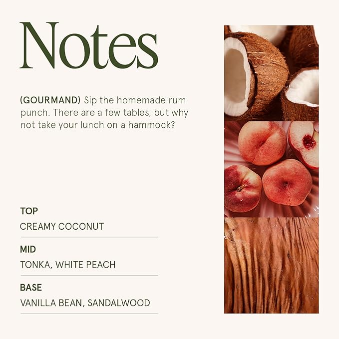 LA JOLIE MUSE Vanilla Coconut Candle ??Coconut, Freesia & Vanilla | 19 oz Large Wooden Wick Candle | Natural Soy Wax | 90 Hours Clean Burn | Gift-Ready for Hosts & Gatherings | Elegant Home D챕cor