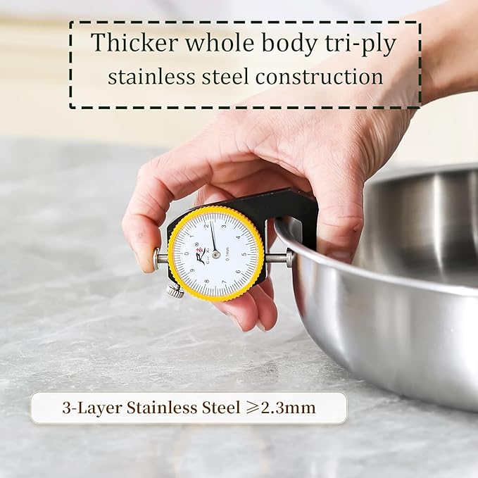 DELARLO Stainless Steel Pan 10.3Inch, Triply Stainless Steel Frying Pan with Lid, Heavy Duty, Compatible with Induction, Gas and Electric up to 650?? Fast & Even Heating, Dishwasher, Oven Safe Skillet