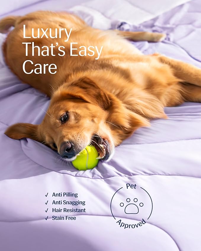 REST® Evercool® Cooling Comforter, Full/Queen, Blanket for Hot Sleepers, All Season Bedding to Keep Cool for Night Sweats, Breathable Lightweight Blanket, 90"x90" Inches, Lavender Breeze