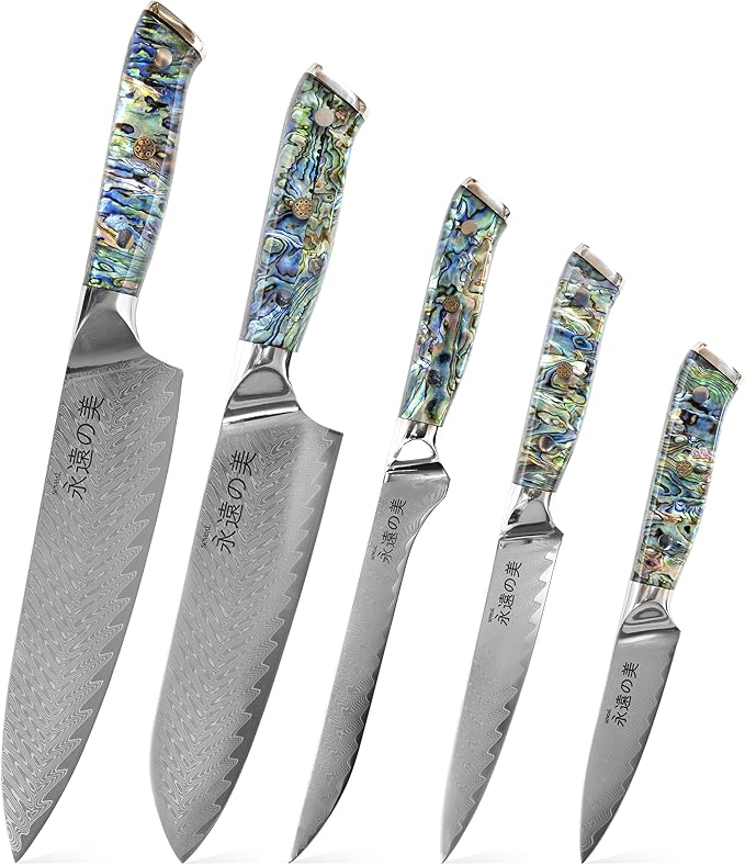Damascus Kitchen Knife Set, 67-Layer Damascus Steel, Professional Chef Knives Set for Kitchen, Ergonomic Wood & Resin Handle (Blue, 5 pieces with Shell Handle)