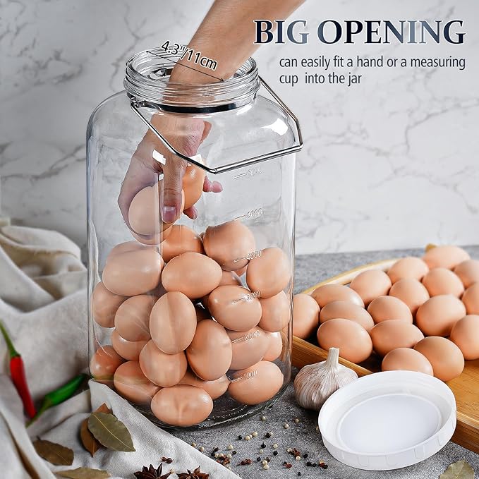 Folinstall 2 Gallon Large Glass Jar with Lid, Wide Mouth Storage Jars with Stainless Handle, Extra Big Glass Container with 2 Scale Mark for Storing Food, Kitchen Organization, 7400 ML/250 OZ