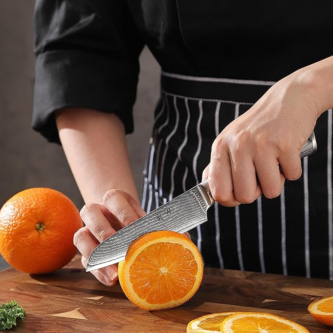 Wakoli EDIS 5-Piece Damascus Kitchen Knife Set ??Professional Kitchen Knives with VG10 Core, 67-Layer Damascus Steel Blades and Ergonomic Pakkawood Handles ??Premium Chef Knife Set in Gift Box