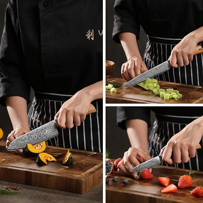 Wakoli EDIB Pro 4-Piece Damascus Knife Set ??Professional Chef Knives Set with VG10 Core Blades, 67-Layer Damascus Steel and Ergonomic Pakkawood Handles ??Premium Kitchen Knives in Elegant Gift Box