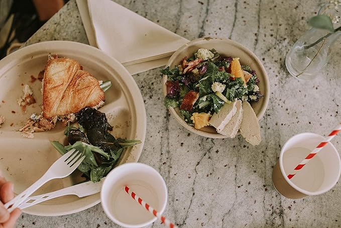100% Compostable Disposable Paper Plates Bulk [10" 3-Comp 50 Pack], Bamboo Plates, Eco Friendly, Biodegradable, Sturdy Large Dinner Party Plates, Heavy-Duty, Unbleached by Earth's Natural Alternative