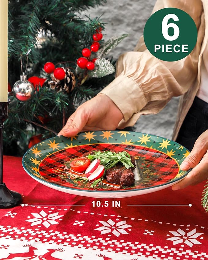 HASENSE Dinner Plates, 10.5 Inches Serving Dishes for Salad, Pasta, Steak, Dessert, Party, Kitchen, Ceramic Holiday Plate Set of 6, Microwave and Dishwasher Safe, Red