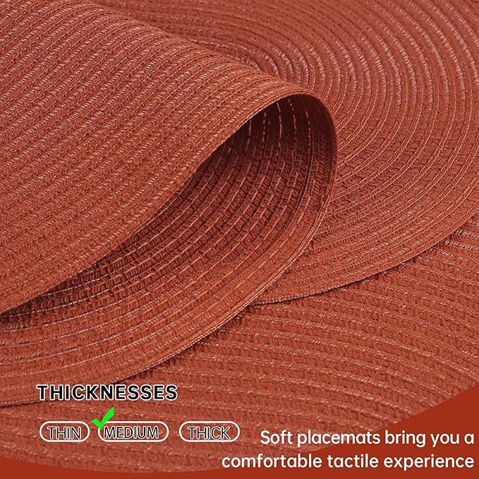 Noctiflorous Oval Braided Placemats Set of 6 Woven 12x18 Inch Non Slip Washable Heat Resistant Place Mats Round Tablemats for Dining Kitchen Party Daily Table Decor Dinner Mats (Solid Rust Orange, 6)