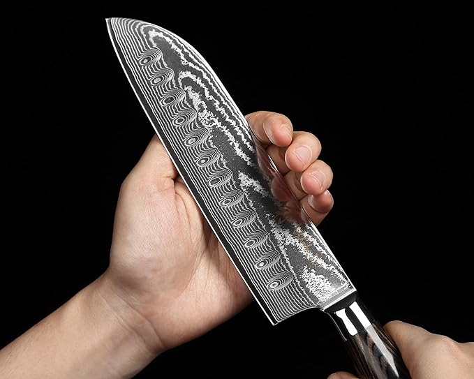 Wakoli EDIB Essentials 4-Piece Damascus Knife Set ??Professional Kitchen Knives with VG10 Core, 67-Layer Damascus Steel Blades ??Santoku, Chef, Small Santoku & Paring Knife with Pakkawood Handles