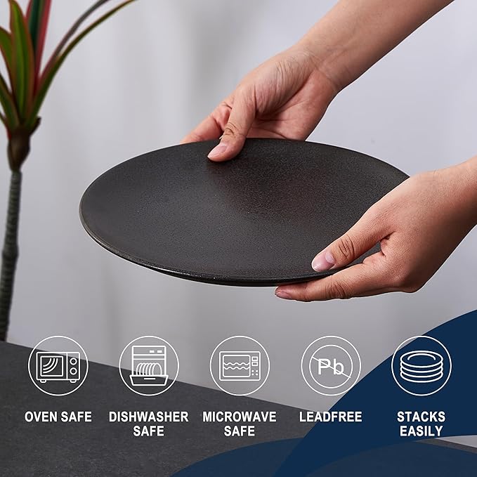 HEVN 6 Piece 10.2??Stoneware Dinnerware Set ??Modern Dinner Plates Set of 6, Dishwasher & Microwave Safe Dish Set, Durable Dinnerware Sets for Everyday Use
