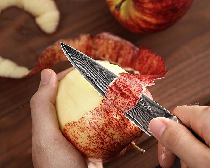 Wakoli EDIB Essentials 4-Piece Damascus Knife Set ??Professional Kitchen Knives with VG10 Core, 67-Layer Damascus Steel Blades ??Santoku, Chef, Small Santoku & Paring Knife with Pakkawood Handles
