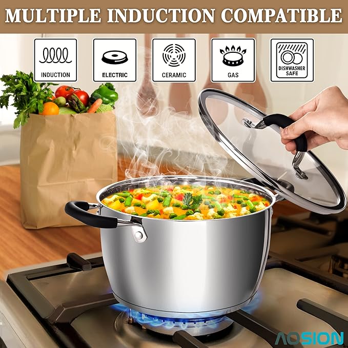 AOSION 6 Quart Steamer Pot With Lid, Nonstick Ceramic Steam Pot with Ladle (Stainless Steel Stockpot)