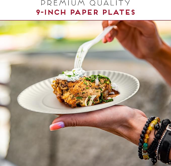 9-Inch Disposable Paper Plates - 500 Count - Bulk Pack of Uncoated Paper Plates for Everyday Use - Dinnerware for Meals, Parties And Picnics