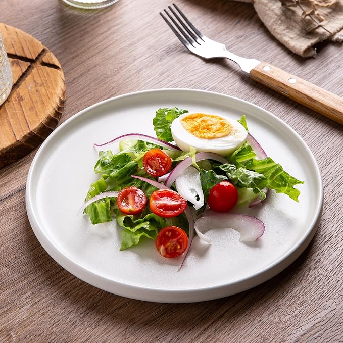 AmorArc Ceramic Dinner Salad Plates Set of 6, 8.5 Inch Reactive Matte Glaze Dish Set, Dessert,Salad, Appetizer, Small Dinner Plate,Microwave, Dishwasher Safe, Scratch Resistant-Matte White