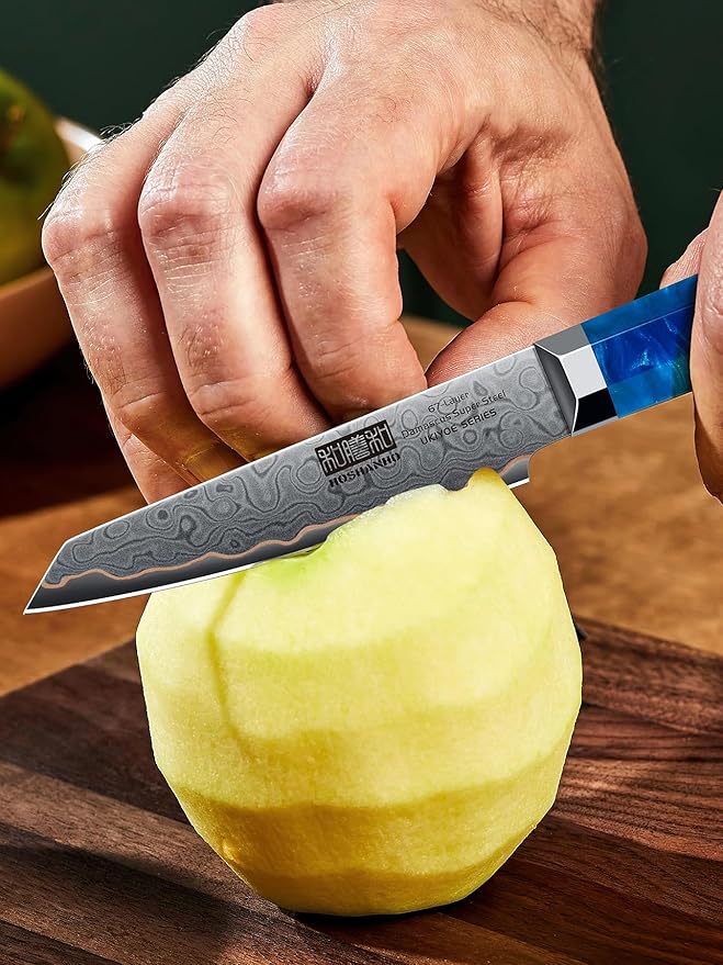 HOSHANHO Damascus Paring Knife 4 Inch, 67-Layer Damascus Steel Professional Small Kitchen Knives, Ultra Sharp Fruit Knife with Ergonomic Blue Resin Stabilized Wood Handle and Wood Gift Box