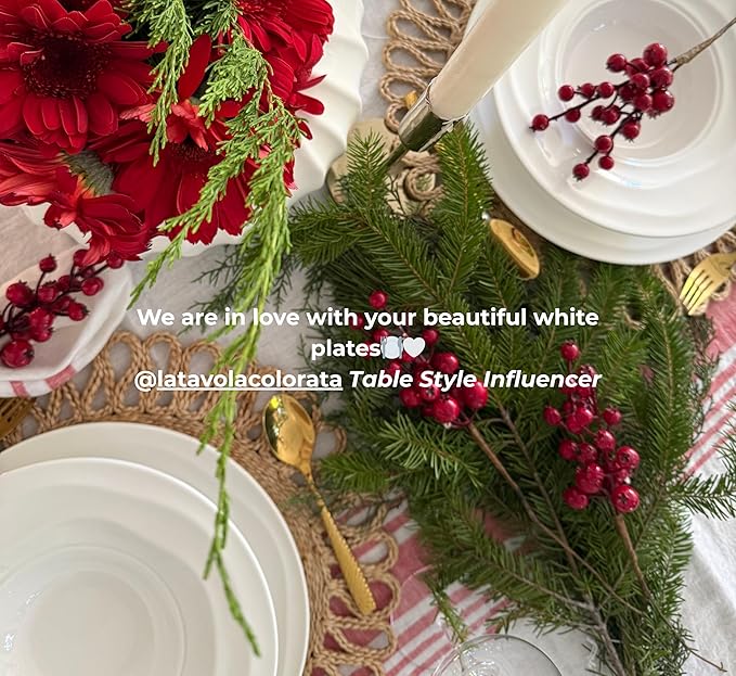 Pots & Patterns White Porcelain Dinner Plates Set for 4 ??12-Piece Chip-Resistant Plates and Bowls with Natural Waves Design ??Microwave, Oven, Dishwasher Safe Scratch-Resistant China Dinnerware