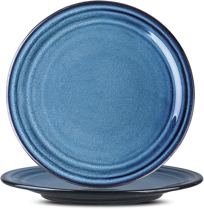 HASENSE Ceramic Dinner Plates Set of 2,10 Inch Large Porcelain Pasta and Salad Plates,Blue Stoneware Plate Set Microwave,Oven,and Dishwasher Safe