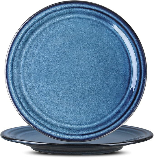 HASENSE Ceramic Dinner Plates Set of 2,10 Inch Large Porcelain Pasta and Salad Plates,Blue Stoneware Plate Set Microwave,Oven,and Dishwasher Safe