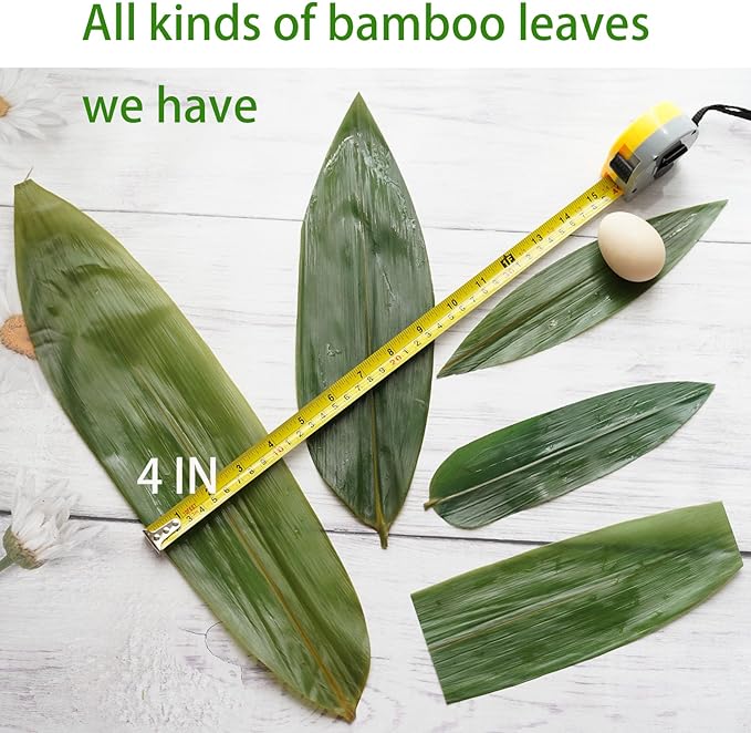 Rainlily Wen Sushi Leaf 8.3''*2.1'' 100 Pcs Small Trimmed Leaves Bamboo Leaf Sushi Plate Food Decorate Fresh Vacuum Bamboo Leaves Dish Decoration Photography of Dishes