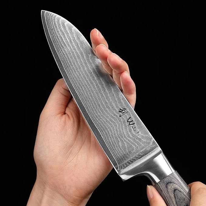 Wakoli EDIS 5-Piece Damascus Kitchen Knife Set ??Professional Kitchen Knives with VG10 Core, 67-Layer Damascus Steel Blades and Ergonomic Pakkawood Handles ??Premium Chef Knife Set in Gift Box