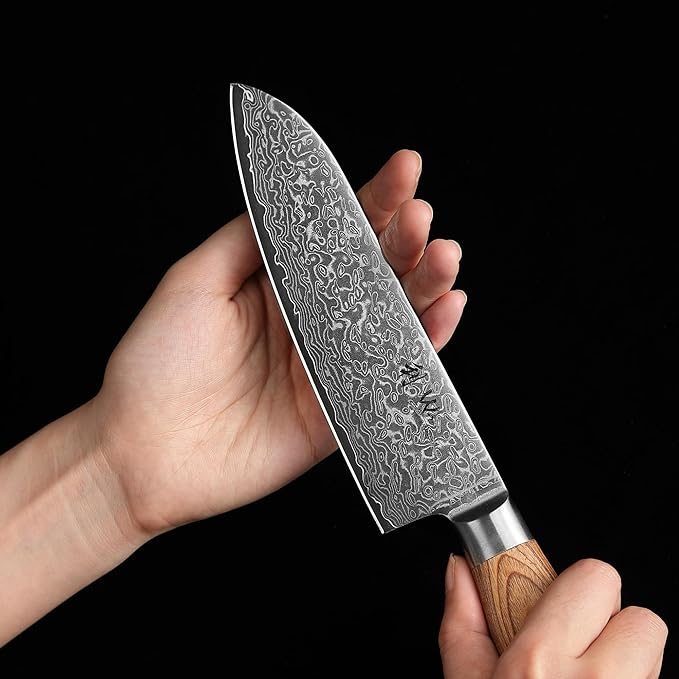 Wakoli EDIB Pro 2-Piece Damascus Kitchen Knife Set ??Santoku & Small Santoku with VG10 Core made of 67-Layer Damascus Steel Blades ??Professional Chef Knives with Ergonomic Pakkawood Handles