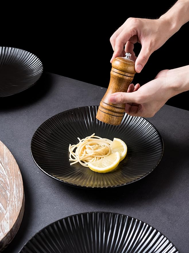 CLAY TONIC Set of 4-10.3 Inch Japanese Style Porcelain Round Dinner Plates, Versatile Circular Serving Plates for Pasta, Salad, Steak Dinner (Black, 10.3 Inches)