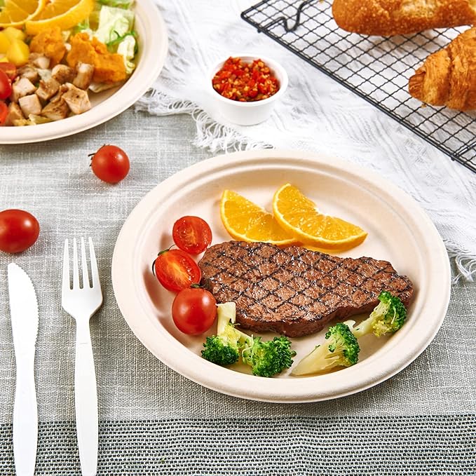 Vplus 500 Pack Paper Plates 9 inch 100% Compostable, Heavy-Duty Disposable Paper Plates Bagasse Natural Biodegradable Eco-Friendly Sugarcane（Nature）