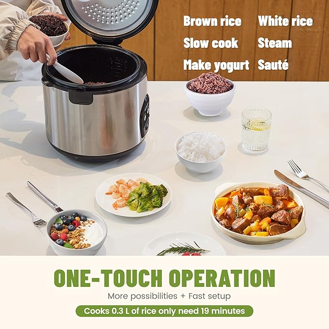 10-Cup Uncooked Rice Cooker & Food Steamer - Ceramic Coating Non-Toxic Inner Pot, One-Touch Multifunction for Rice/Sauté/Yogurt, Dishwasher Safe, 3-10 Family Size, Stainless Steel