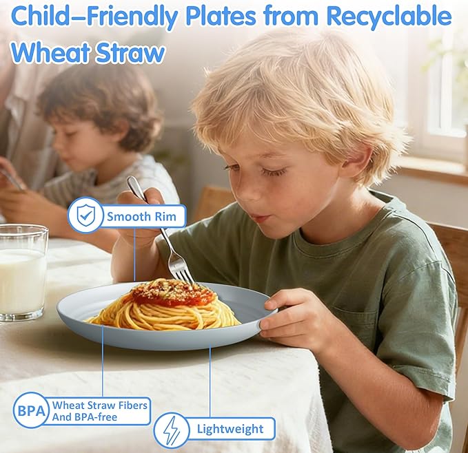 Quatish 10 PCS Unbreakable Reusable Plastic Plates,9 inch Dishwasher & Microwave Safe Dinner Plate, Easy-to-Clean Lightweight,Portable for Kitchen & Picnics Wheat Straw Plates（Blue）