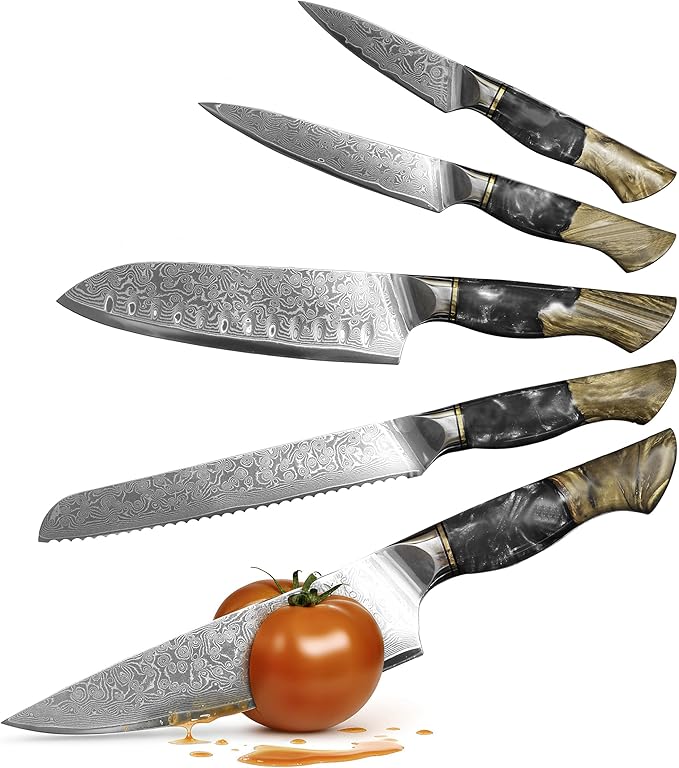 Damascus Kitchen Knife Set, 67-Layer Damascus Steel, 5-Piece Professional Chef's Japanese Knife Set for Kitchen, Ergonomic Wood & Resin Handle in Gift Box, Ideal for Gifting (Black, 5 pieces)