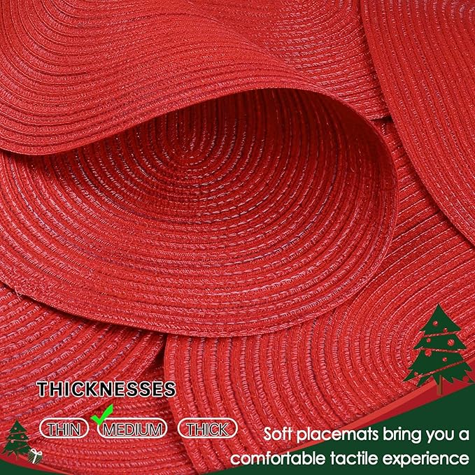Noctiflorous Oval Braided Placemats Set of 6 Woven 12x18 Inch Non Slip Washable Heat Resistant Place Mats Round Tablemats for Dining Kitchen Party Daily Table Decor Dinner Mats (Red Shine, 6)