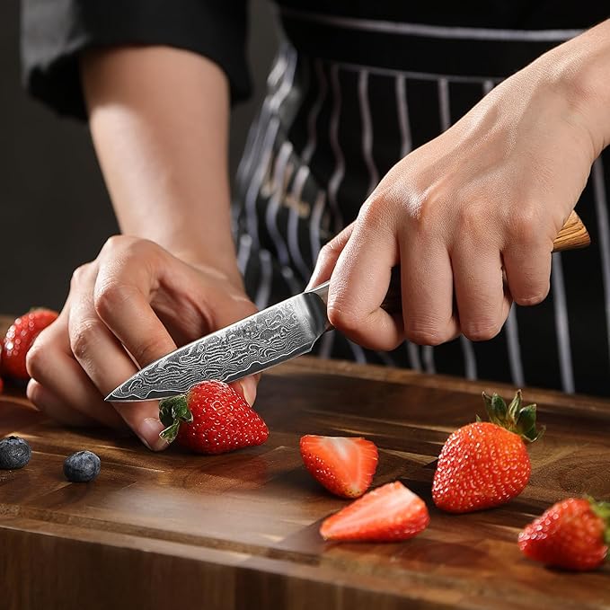 Wakoli EDIB Pro Premium Paring Knife ??Japanese Style Kitchen Knife | 3.2-Inch Blade Made of 67-Layer Real Big Master Steel with Pakka Wood Handle | Professional Cooking Tool