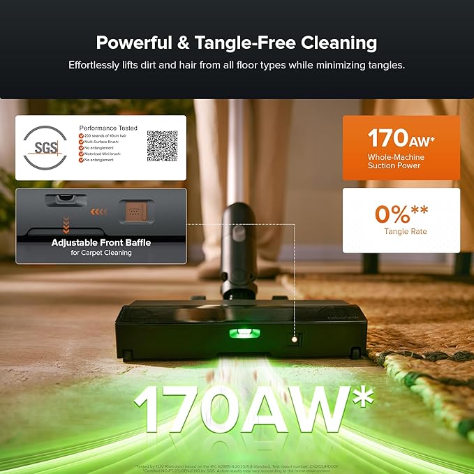 roborock H60 Hub Pro Cordless Stick Vacuum Cleaner with Auto-Empty Dock, 170AW Suction for Carpets and Pet Hair, Vacuum Cleaners with 80-Min Runtime, Anti-Tangle Brush, 140째 Green LED Dust Detection
