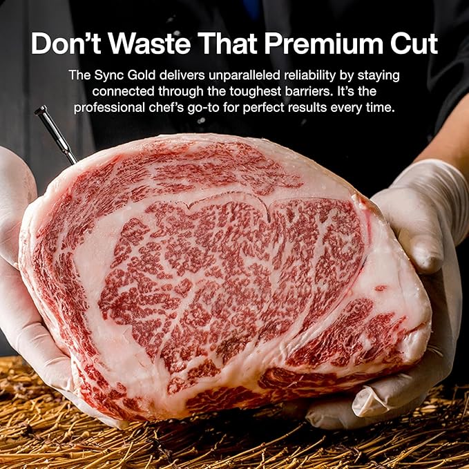 Typhur Sync Gold Wireless WiFi Meat Thermometer, 2 Slim Probes, 6 Sensors, 10x Stronger Signal, 짹0.5??Accuracy, Smart Base Direct Setup, Reliable Reading Through Kamado Grill BBQ Oven Smoker Air Fryer